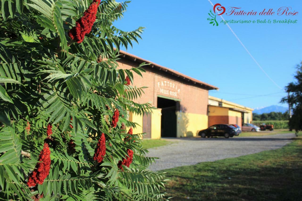 Villa Fattoria Delle Rose Salussola Exterior foto