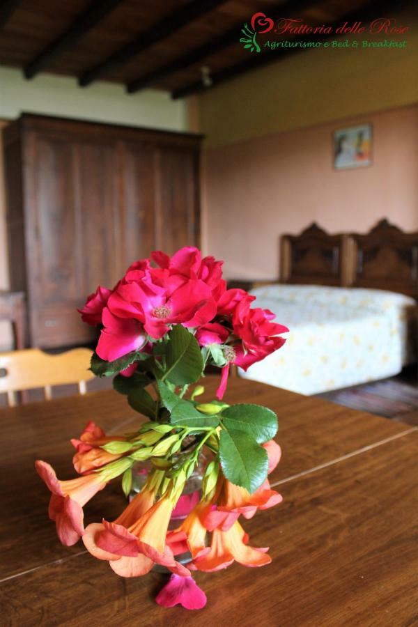 Villa Fattoria Delle Rose Salussola Zimmer foto